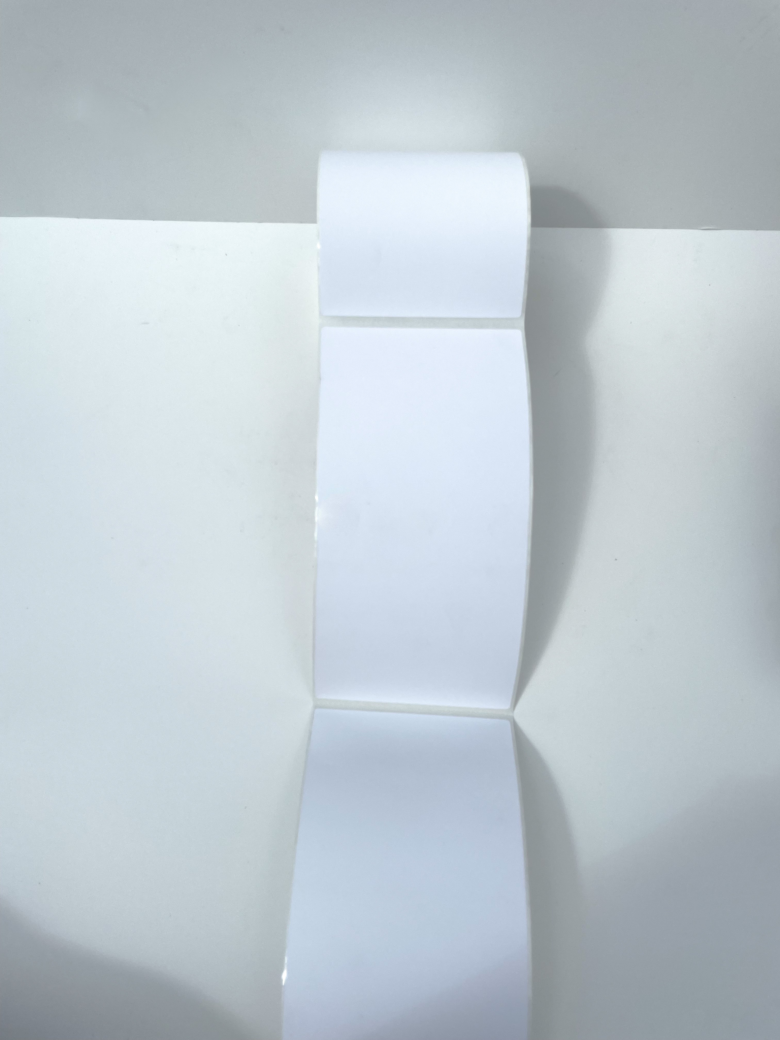 Label - 100mm x 204mm